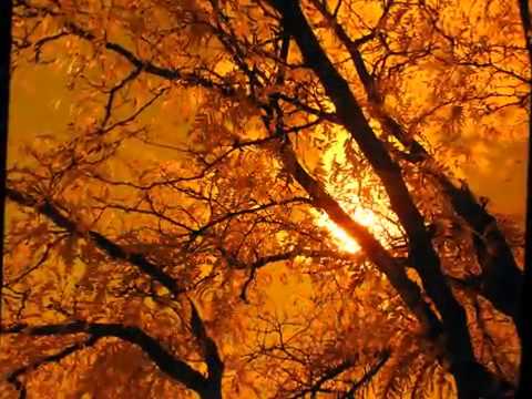 სიმართლის ნაცვლად საამო, სასეირო რამ გვიწინასწარმეტყველეთო