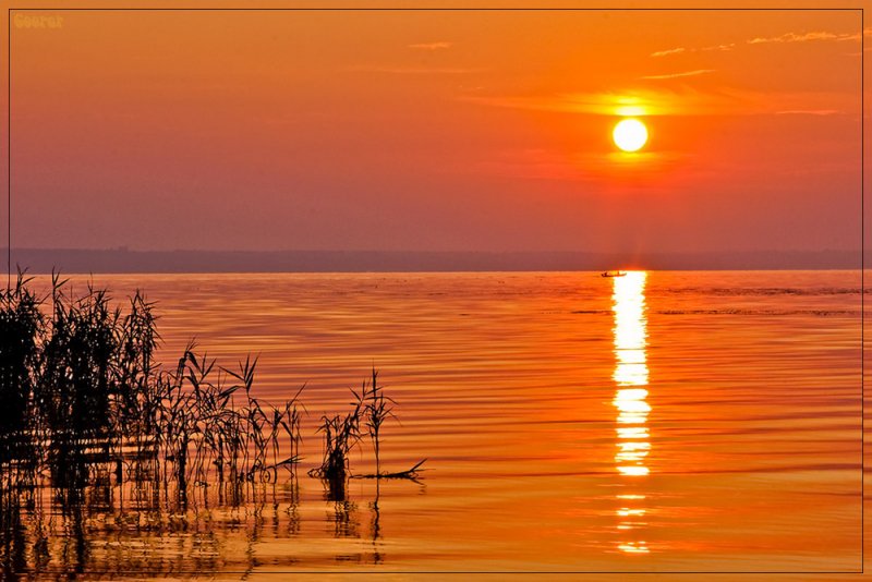 სიშორე, შორი, შორეული