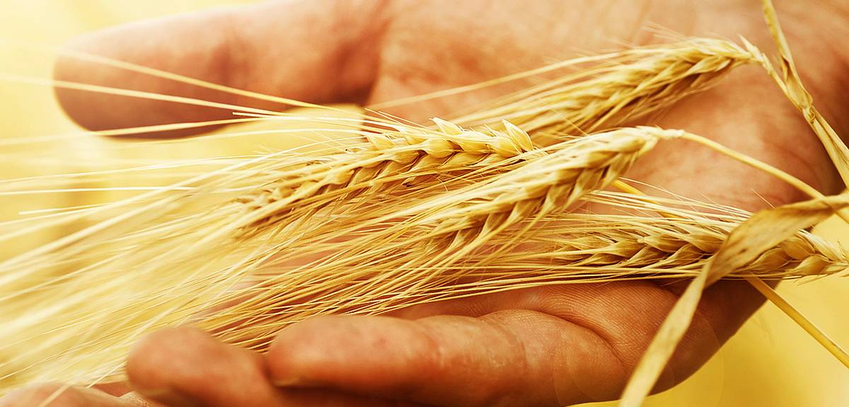 სიტყვა "პირველი" ბიბლიაში