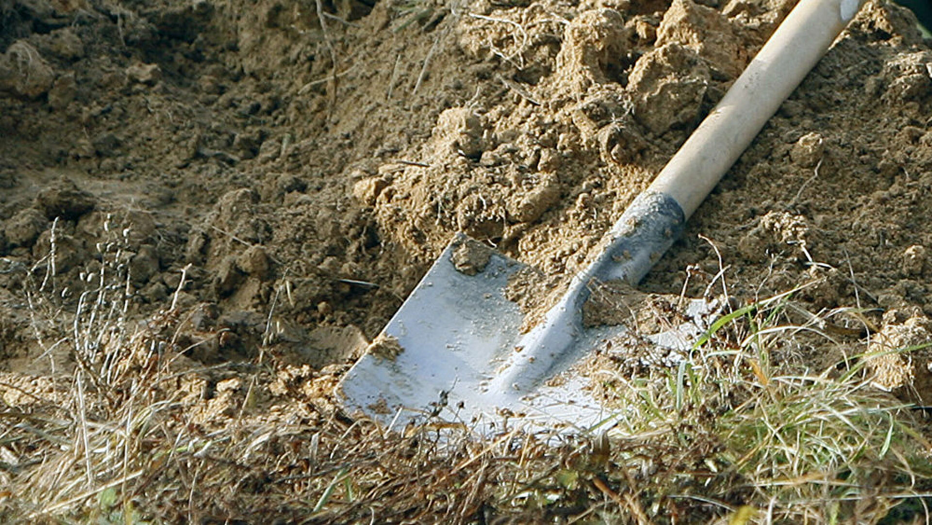 სიტყვა "თხრა" ბიბლიის სიმფონიისთვის