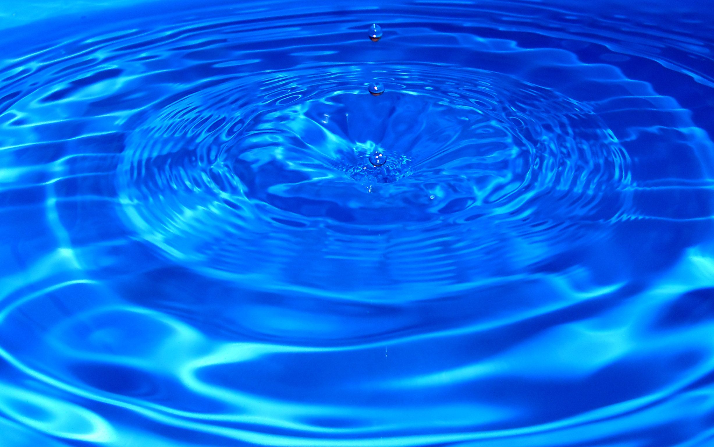 სიტყვა "ცოცხალი" წმ. წერილში