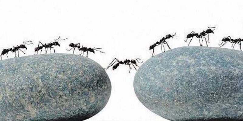 სულისთვის ზრუნვა სჯობს სხეულზე ზრუნვას