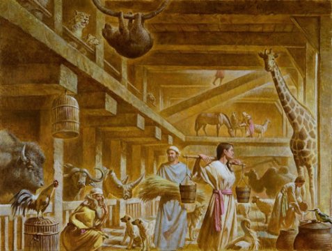 ცხოველები ღმერთის მიერ დახურულ სივრცეში