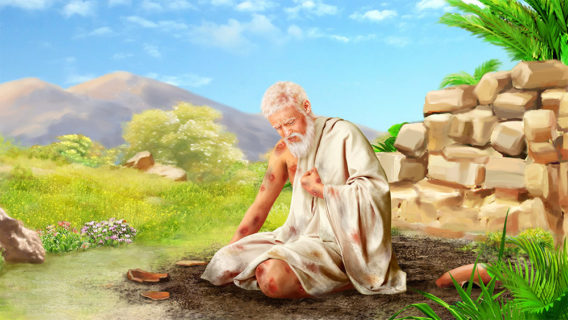 წყლულები