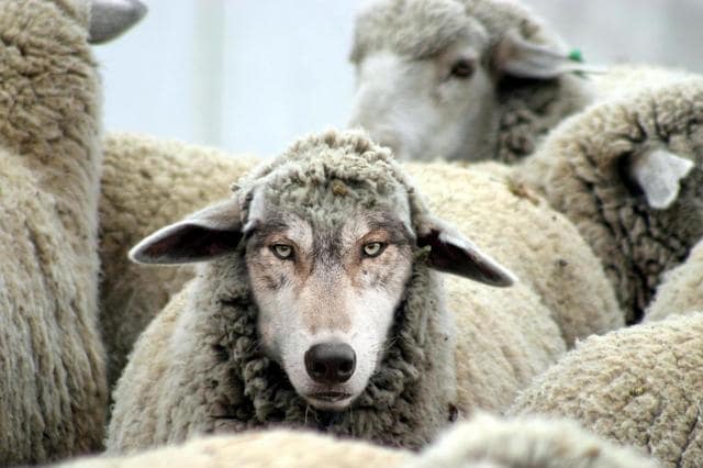 ცრუ მახარებელთა შესახებ