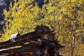 ცრურწმენა