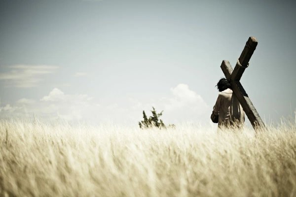 თვითგამოცდა