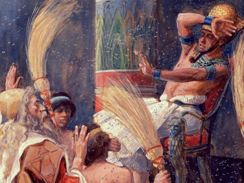 უხეშობა, უკმეხობა, გულქვობა, გულმქისობა