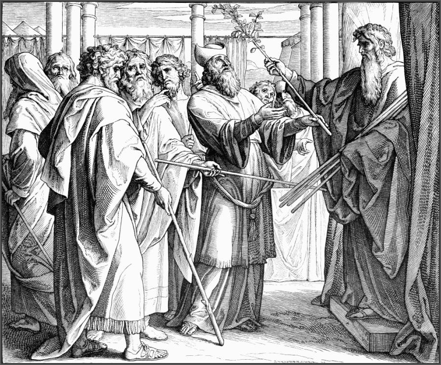 უხუცესები