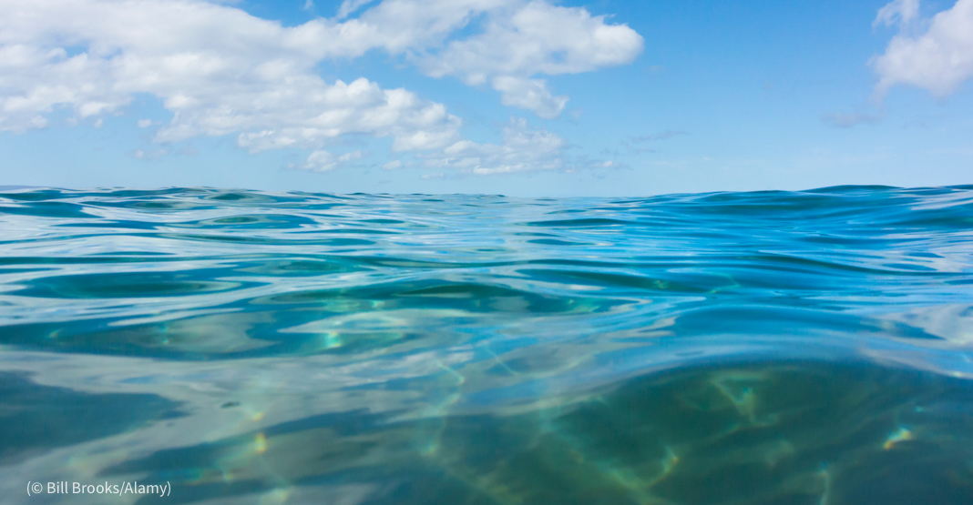 ზღვა - მიწის ჩაღრმავების წყლით დაფარული ზედაპირი