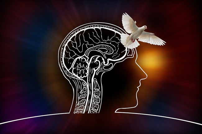 ზრახვები, ჩანაფიქრი აზრები